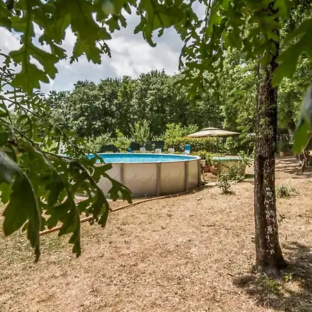 Faetino - Pavone * Gracciano